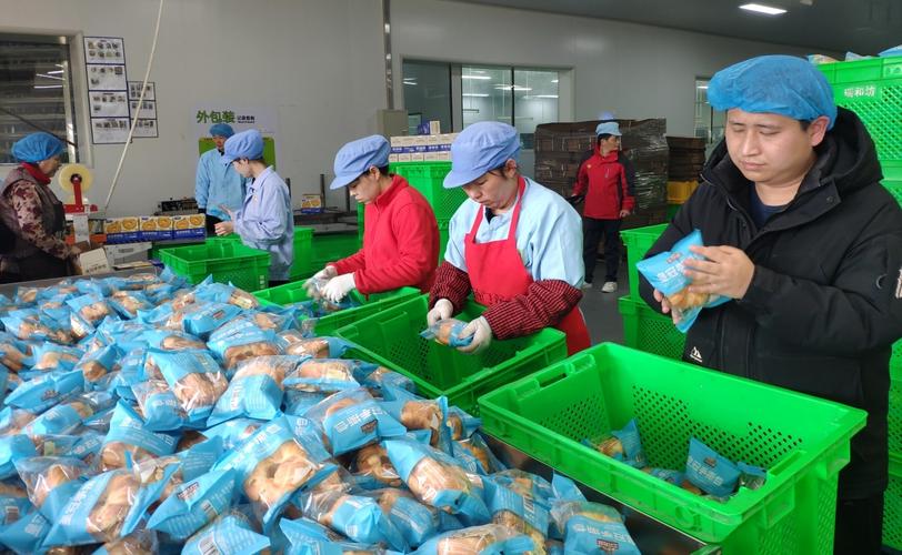 合肥瑞和坊食品员工正在检查包装产品